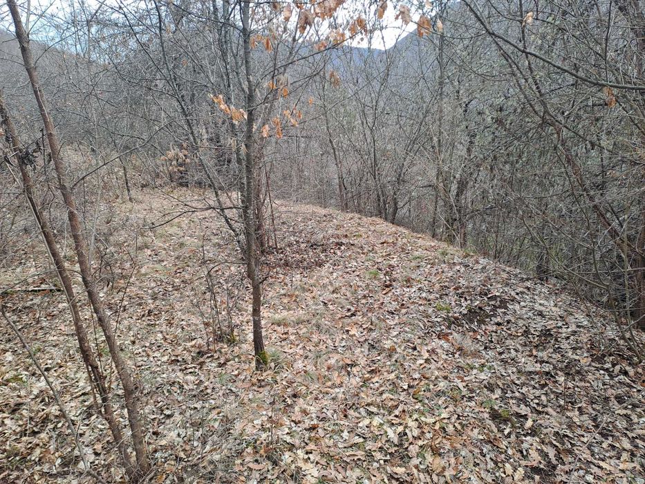 Вила в с. Батулия