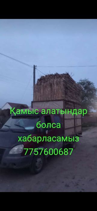 Қамыс (маты плита)