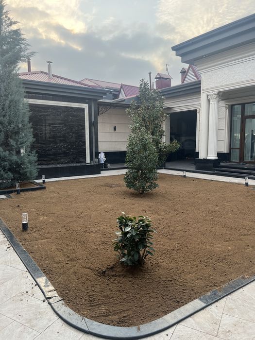 Газон экамиз  Gazon поливной сиситема,