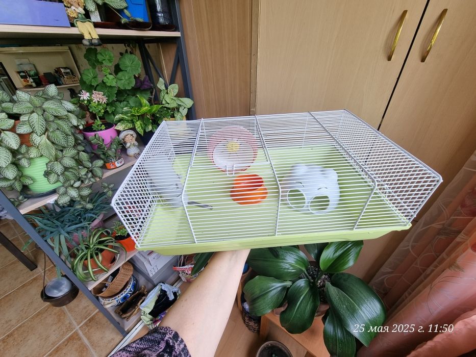 Продам клетка для хомяка