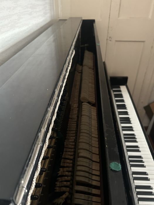 Продам Пиононо.