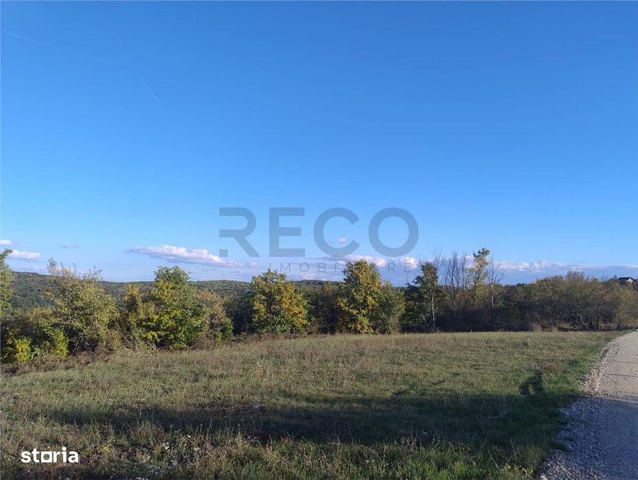 PECO Teren intravilan Saldabagiu De Munte