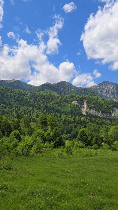 Vand teren Sinaia - Vedere 5