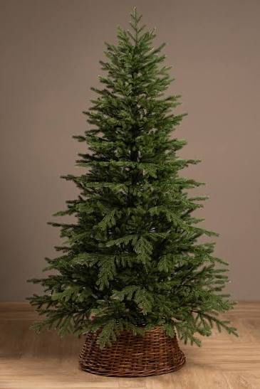 Ёлка Елки большой