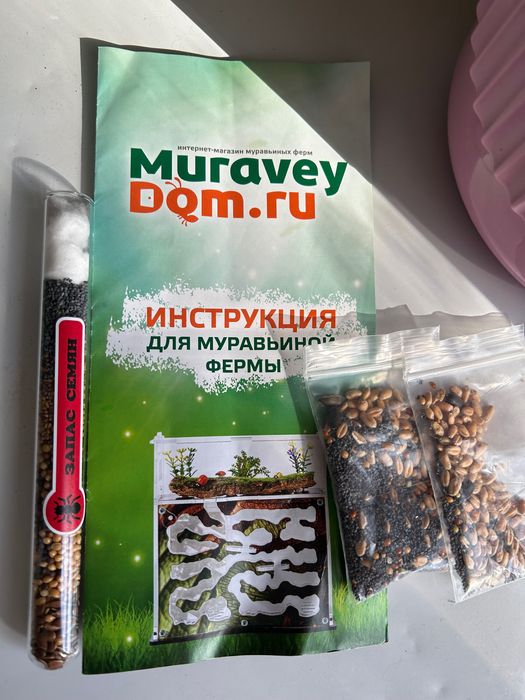 Муравьиная ферма