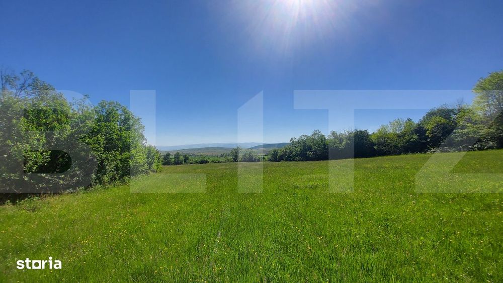 Investitie – 3,6 ha Glamping, Pensiune sau Centru Ecvestru in inima