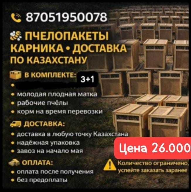 Пчелопакеты пчелопакеты