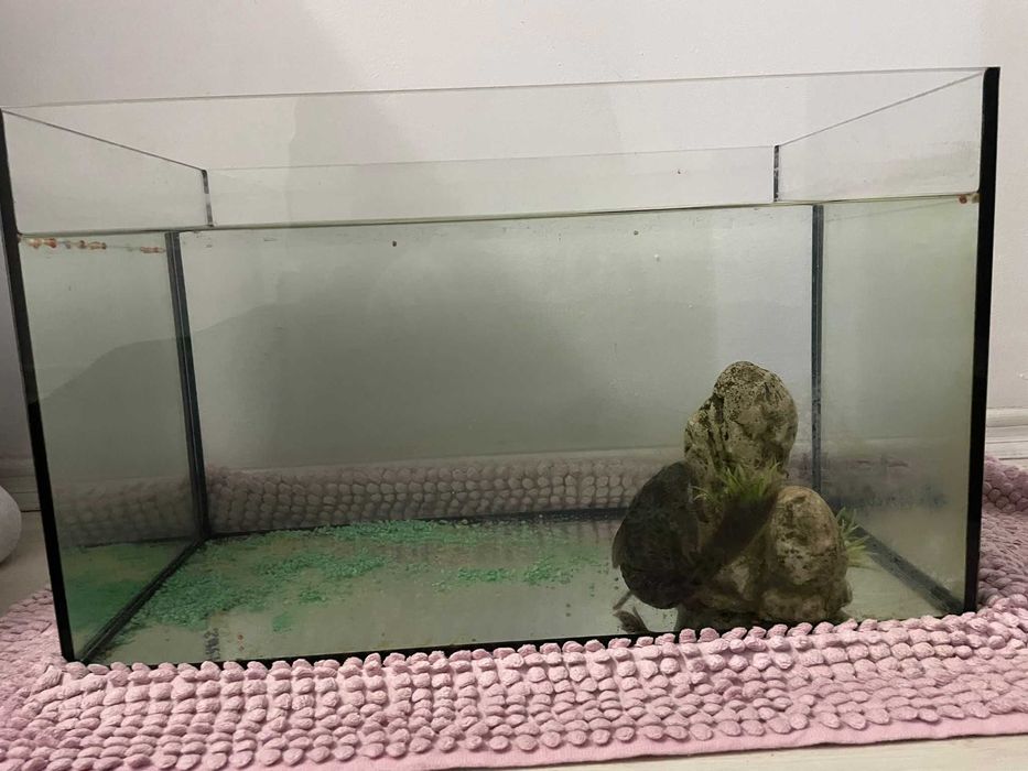 Vand acvariu 50x30x30