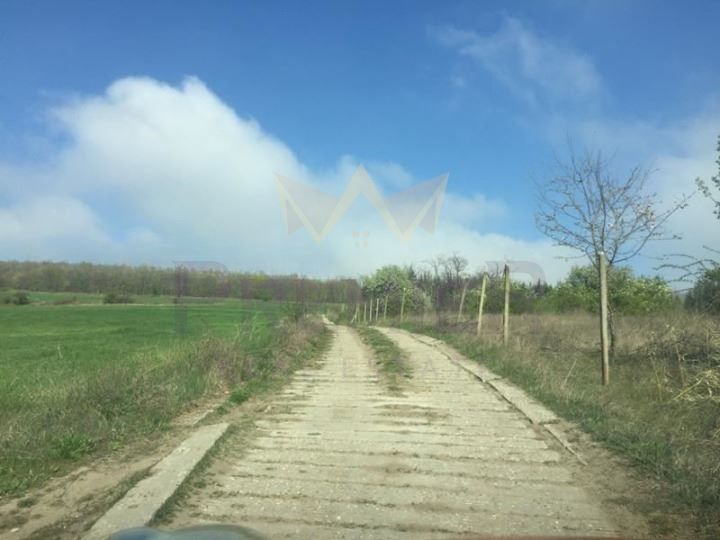 Продава се Парцел в с. Близнаци, Област Варна - 4300 кв.м за 6 €/кв.м - Снимка #3