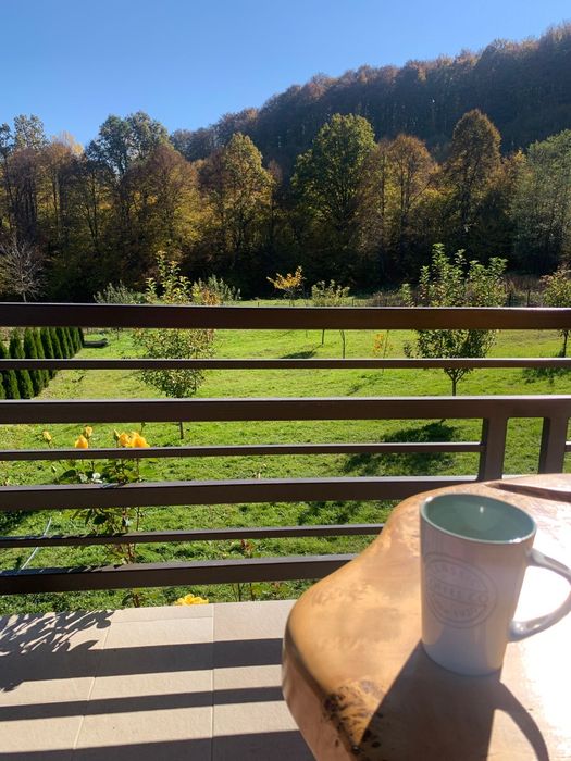 De vanzare casa cu 2,7 ha teren intravilan in Sovata