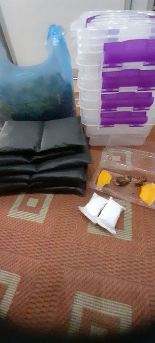 Маты матики для улиток ахатин