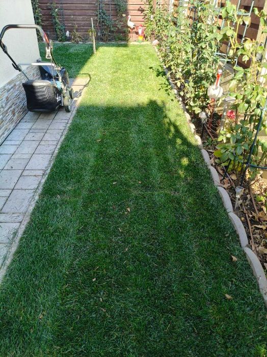 Gazon Rulou și Sisteme de Irigație