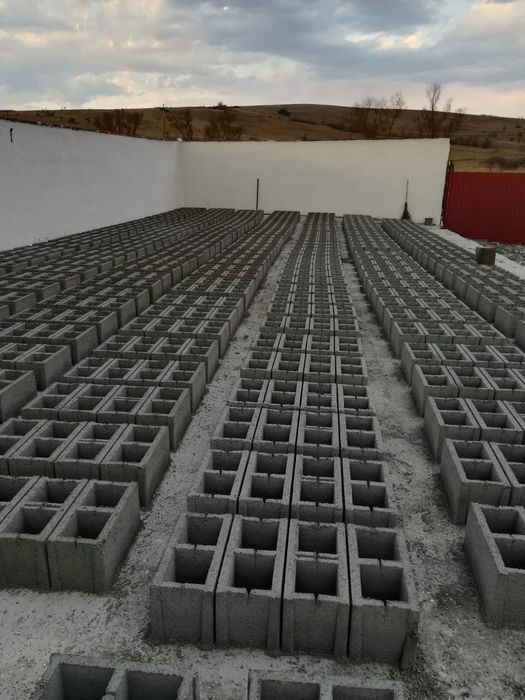 Pavele vibropresate si boltari