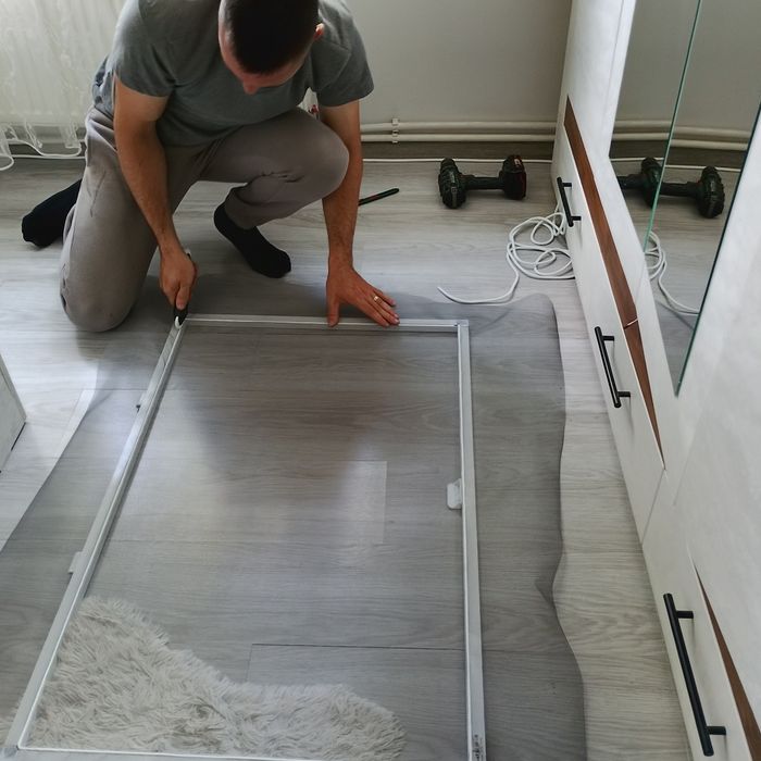 Plase/Site insecte Craiova