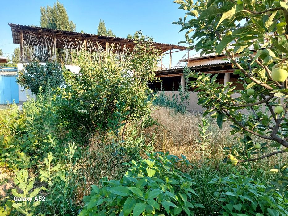 Срочно дом продоётся цена договорная  Уй сотилади келишилган холда