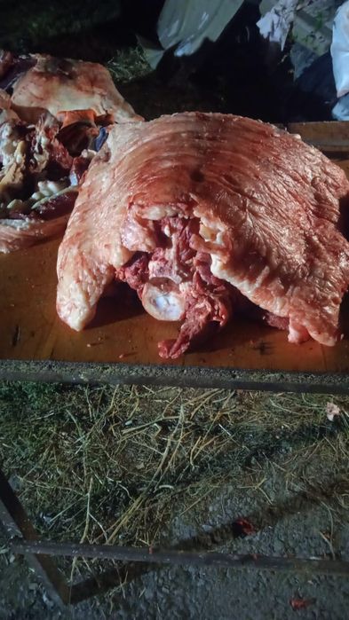 Говядины, семіз ет достовка