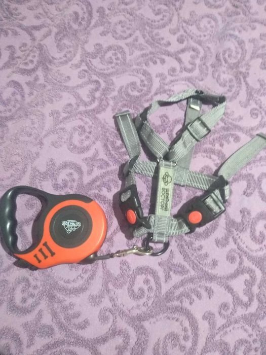 Шлейка для собаки