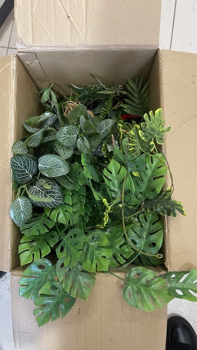 Продам искусственные растения