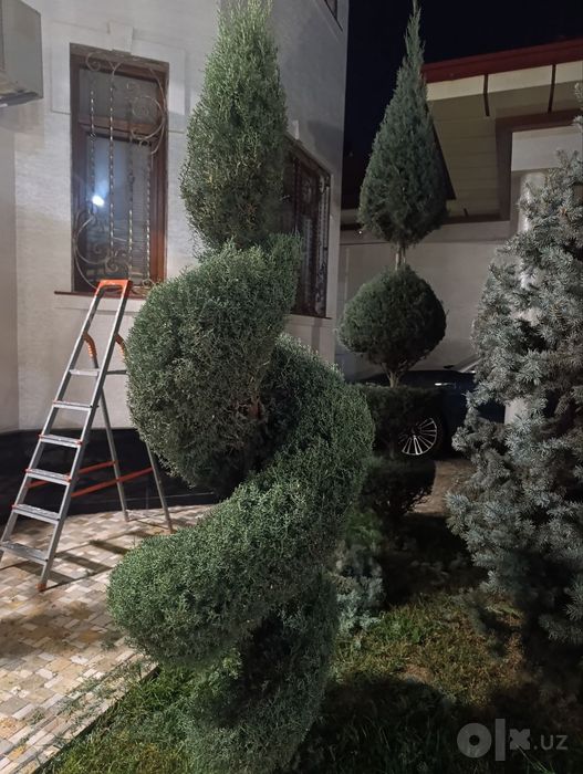Archa kesish va Gazon ikkish dorilash xizmati
