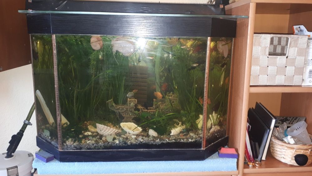 Продавам аквариум с приинадлежности