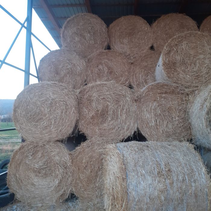Vând baloți de paie