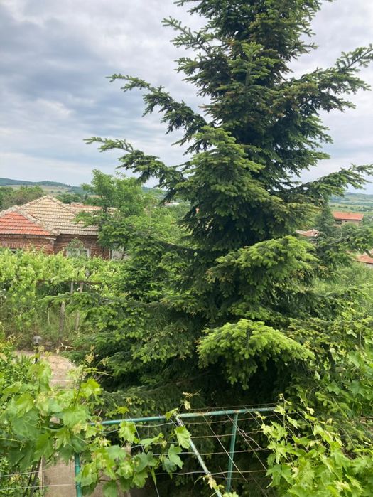 Продава се Къща в с. Лясково, Област Бургас - 70 кв.м за 1715 €/кв.м - Снимка #5