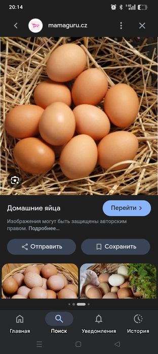 Продали домашние яйца под  инкубатор
