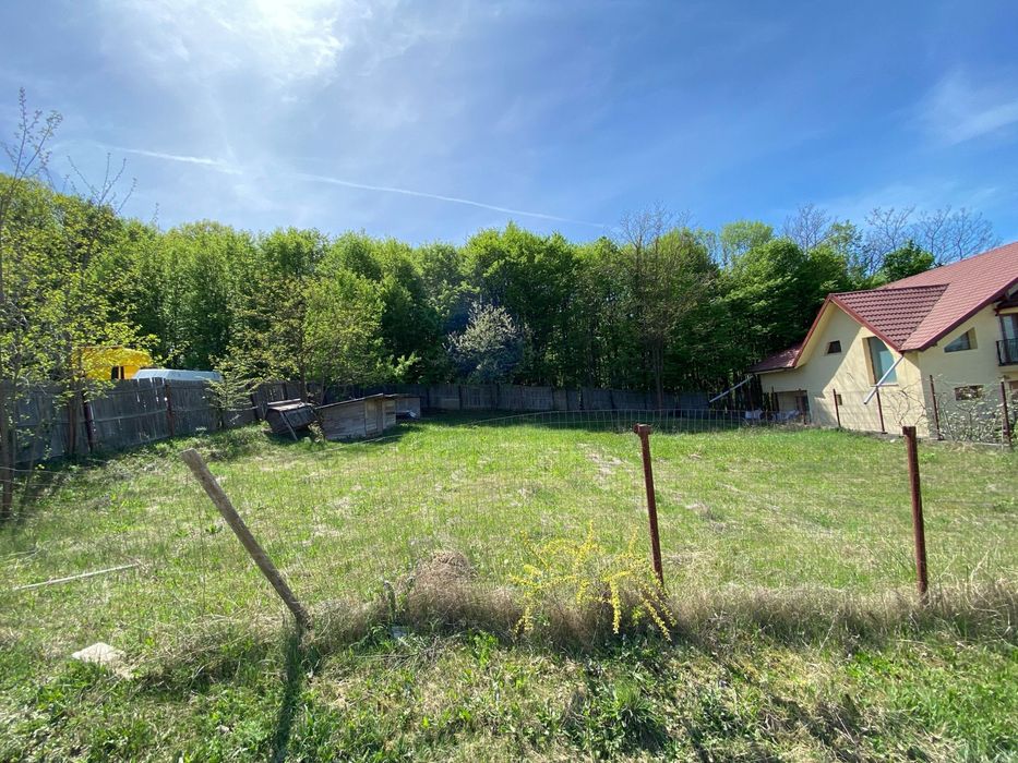 Teren de vanzare, la pădure, comuna Bascov  !!!
