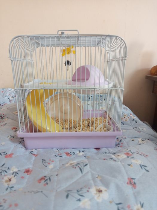 Продам хомяка джунгарика с клеткой