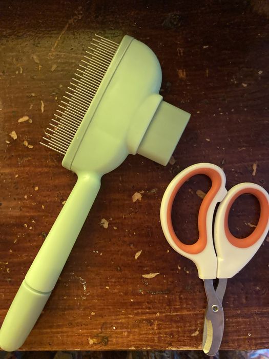 кошка ищет новый дом