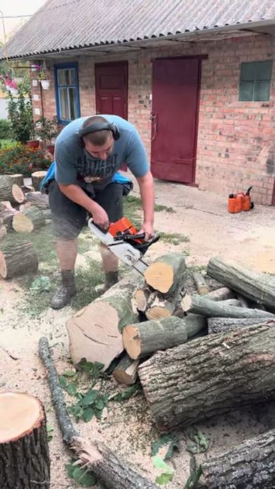 Дарахт кесиш хизмати daraxt kesish бензопила услуг обрезка спил деревя