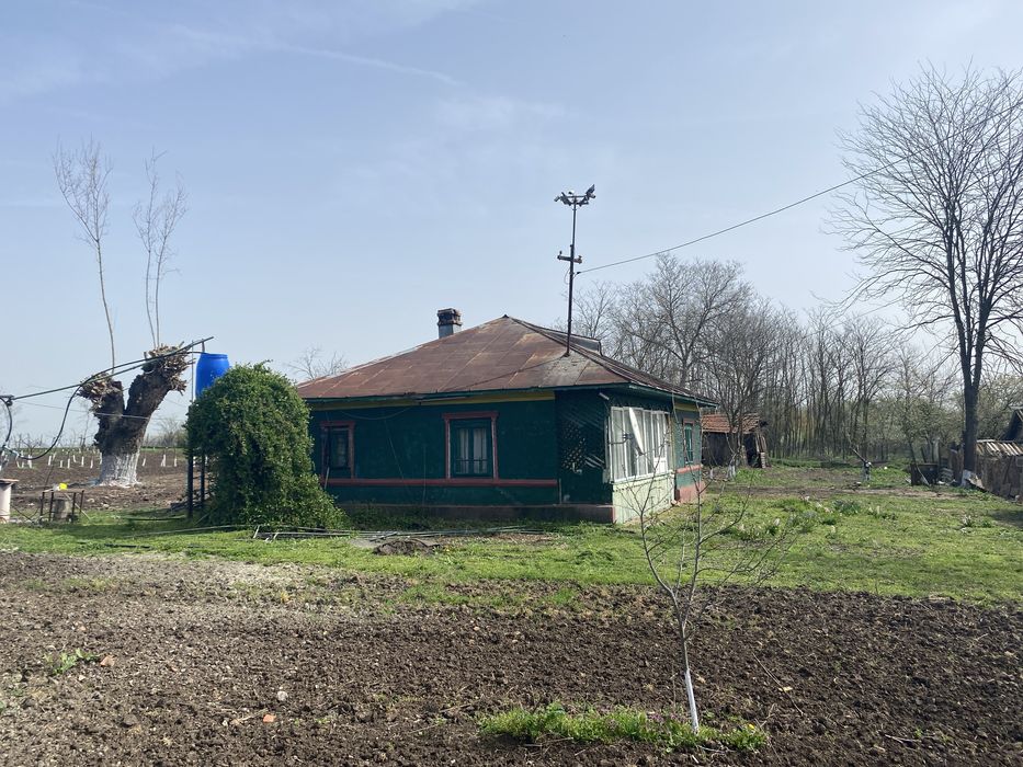 Inchiriez casa in rasuceni