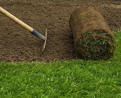 Gazon ekamiz urugʻini sepamiz