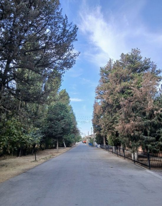 Участок для строительство Вашего дома