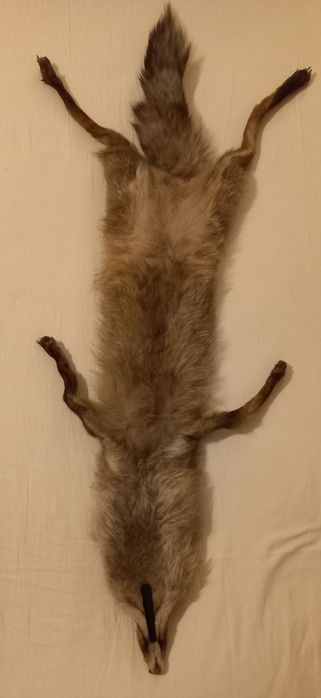 Шал от истинска лисица