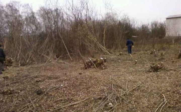 Чистка участка в городе Уральске и в роёне города