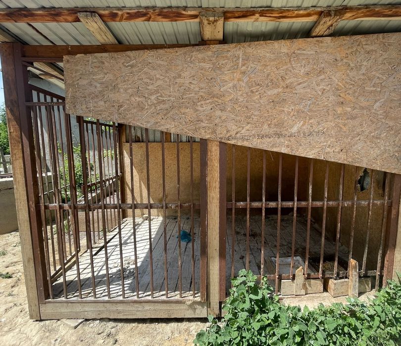 Волер для собак. Летни