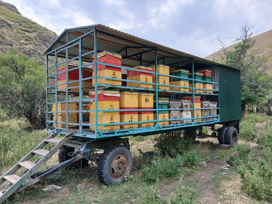 Пчела прицеп , ара таситын телешка