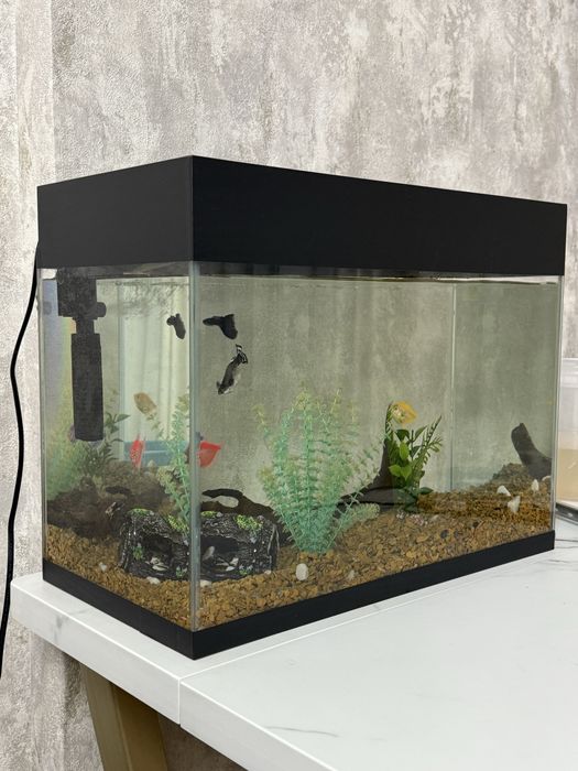 Аквариум 30 литров