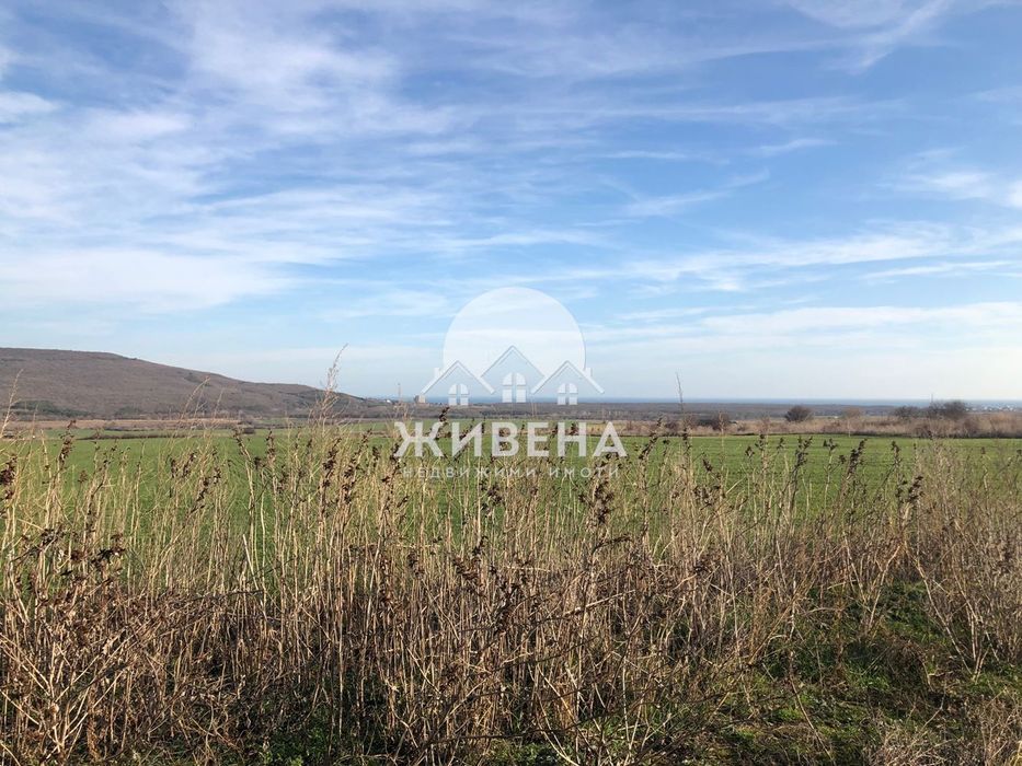 Продава се Парцел в с. Рогачево, Област Добрич - 5259 кв.м за 28 €/кв.м - Снимка #5