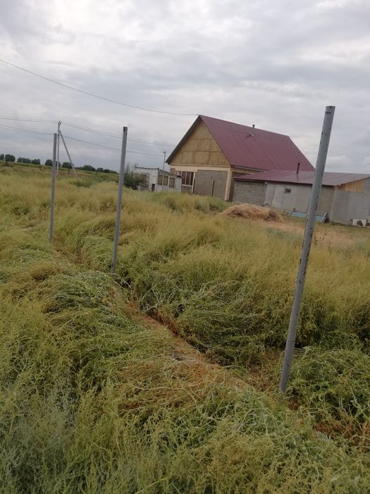 Гос арендныи учасок