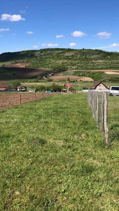 Teren intravilan