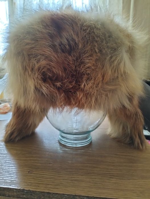 Продам ушанку б/у