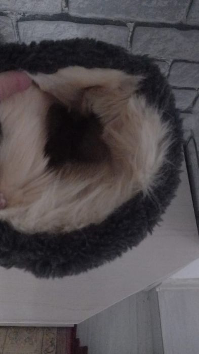 Унты утеплённые зимние