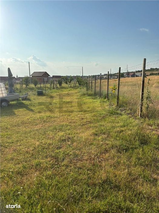 RECO Teren intravilan Betfia