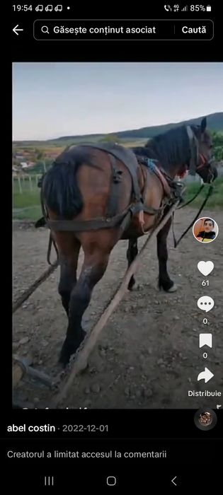 Cine are calu sa ma sune