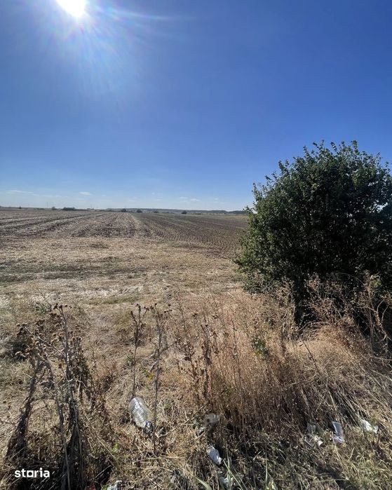Teren de vânzare în Mihăilești. 7.400 mp. Deschidere 36 m
