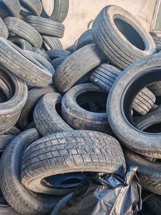 tekinga musr balonlar, 500 dona