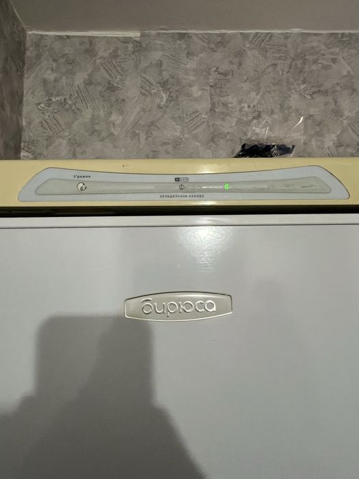 Холодильник «БИРЮСА»