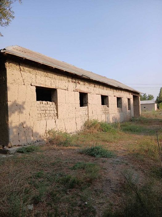 Eр cотилади уй билан биргаликда